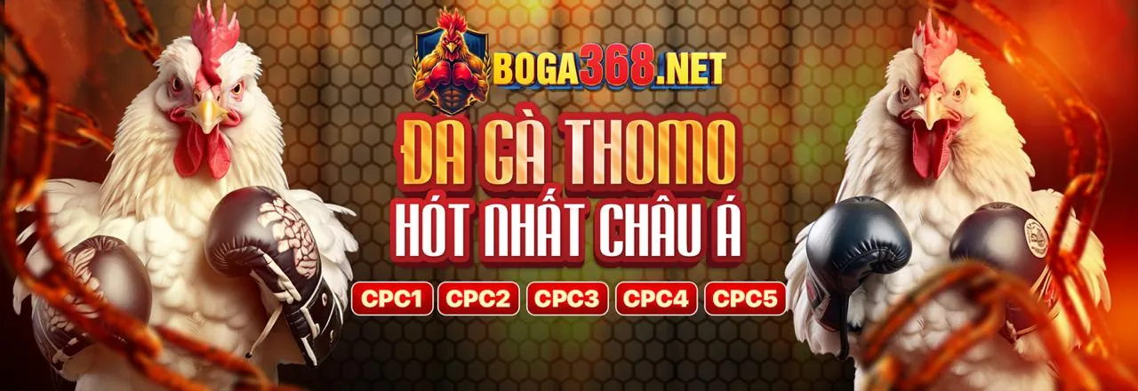 Đá gà kịch tính tại CO88