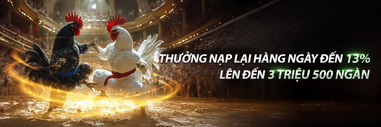 Kết nối với CO88 trên mạng xã hội