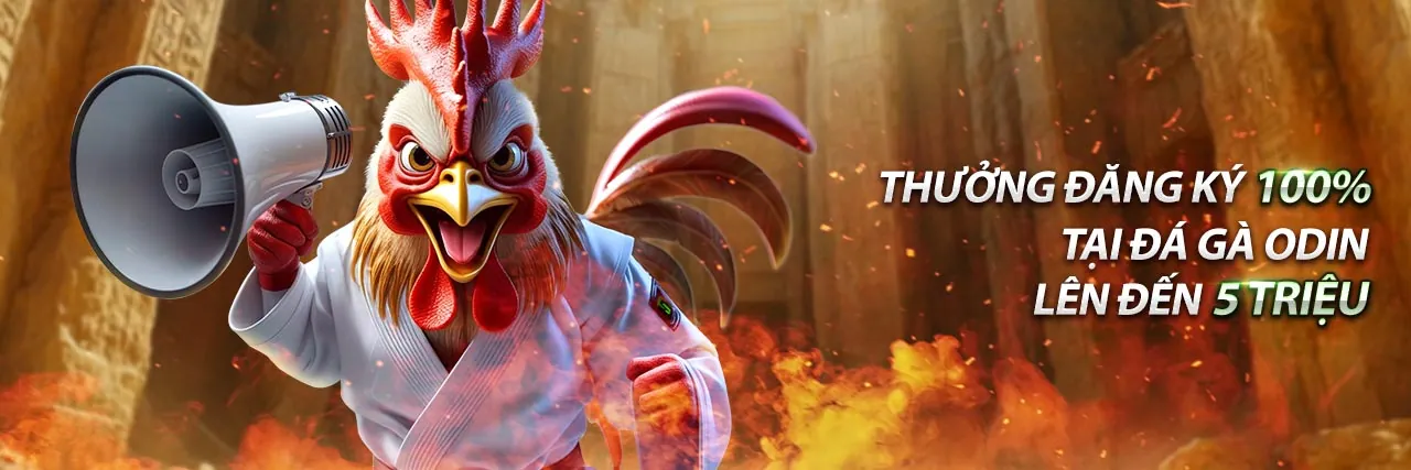 Hình ảnh minh họa chính sách cookie và cài đặt quyền riêng tư trên co88, với biểu tượng cookie và các tùy chọn quản lý.