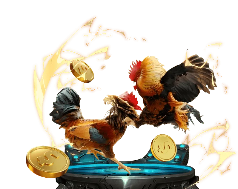 Hình ảnh tiền hoàn trả, biểu tượng phần trăm, và các mũi tên quay vòng, thể hiện chương trình hoàn trả tiền cược thể thao hàng tuần tại co88.